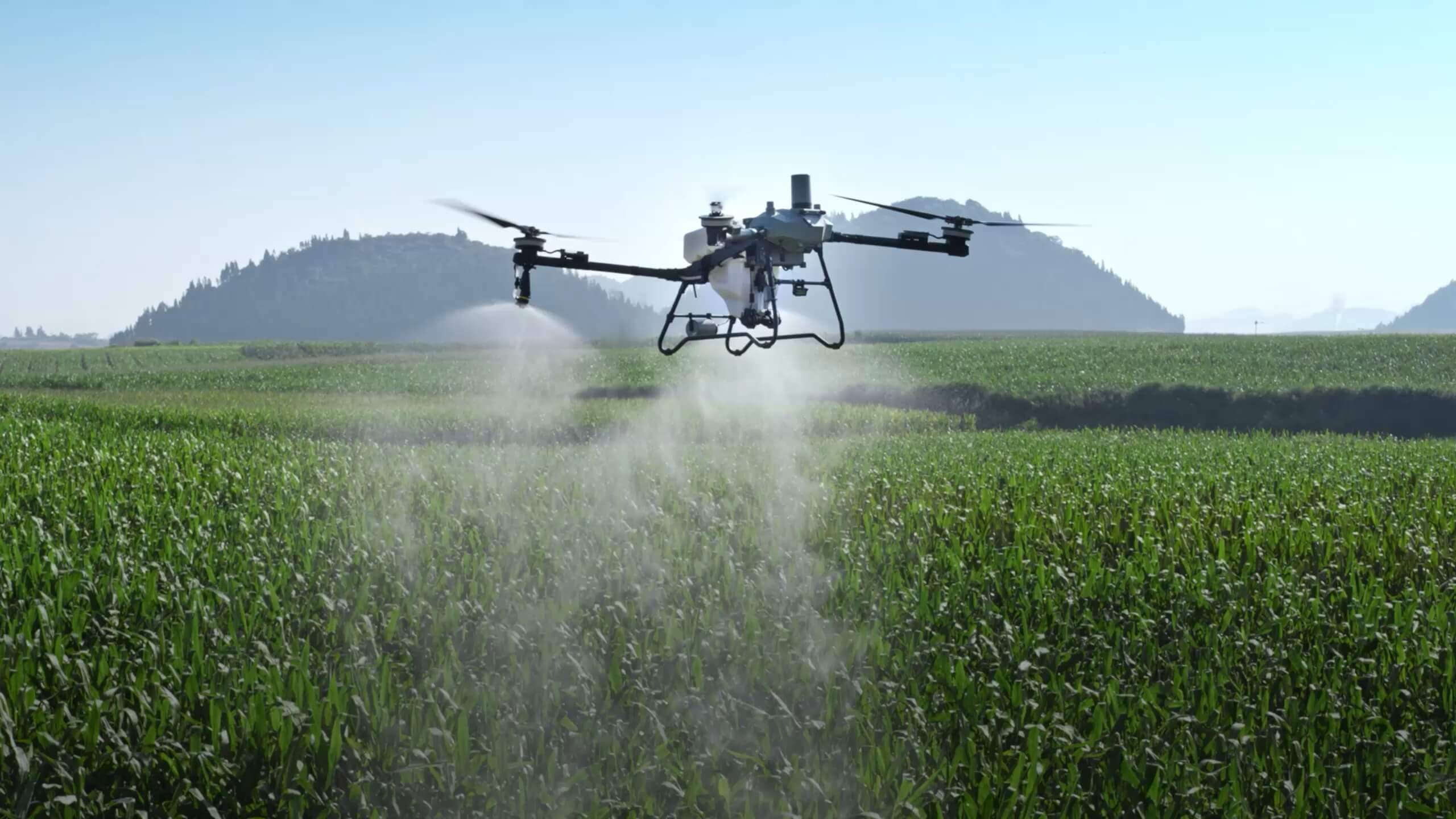 DJI Agras T70P pulverizando un cultivo de cereal con montañas al fondo